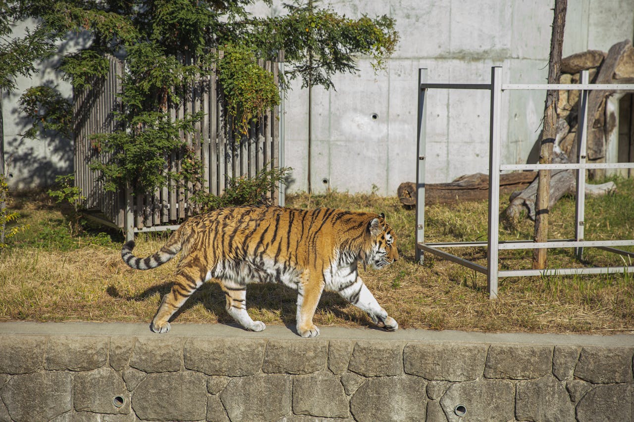 Bassi Wildlife Sanctuary